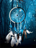 Dream Catcher 5d Diy Diamond Painting Kits UK Handwork Hobby FL4712