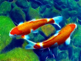Fish 5d Diy Diamond Painting Kits UK Handwork Hobby DS10700747