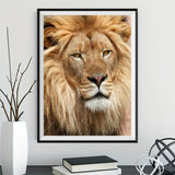 Lion 5d Diy Diamond Painting Kits UK Handwork Hobby DS42607379