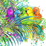Parrot 5d Diy Diamond Painting Kits UK Handwork Hobby DS56094537