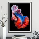 Fish 5d Diy Diamond Painting Kits UK Handwork Hobby DS66482656
