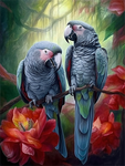 Parrot 5d Diy Diamond Painting Kits UK Handwork Hobby MJ2317