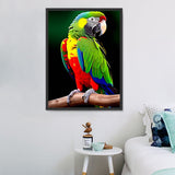 Parrot 5d Diy Diamond Painting Kits UK Handwork Hobby MJ2321