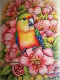 Parrot 5d Diy Diamond Painting Kits UK Handwork Hobby MJ2324