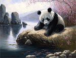 Panda 5d Diy Diamond Painting Kits UK Handwork Hobby MJ8099