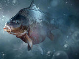 Fish 5d Diy Diamond Painting Kits UK Handwork Hobby PX3846432