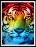 Tiger 5d Diy Diamond Painting Kits UK Handwork Hobby SS483602665