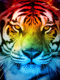 Tiger 5d Diy Diamond Painting Kits UK Handwork Hobby SS483602665