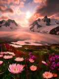 Flower 5d Diy Diamond Painting Kits UK Handwork Hobby VM42103