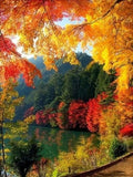 Nature 5d Diy Diamond Painting Kits UK Handwork Hobby VM95027