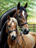 Horse 5d Diy Diamond Painting Kits UK Handwork Hobby FL4462