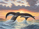 Whale 5d Diy Diamond Painting Kits UK Handwork Hobby FL4487