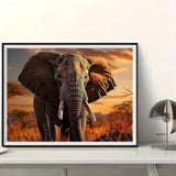 Elephant 5d Diy Diamond Painting Kits UK Handwork Hobby FL8157