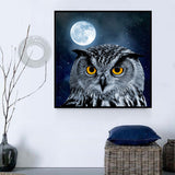 Owl 5d Diy Diamond Painting Kits UK Handwork Hobby DE27307335