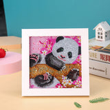 Easy For Kids Diamond Painting Kits Beginners Art Crafts With Frame DP8027
