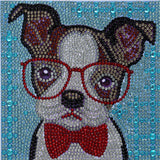 Easy For Kids Diamond Painting Kits Beginners Art Crafts With Frame DP8203