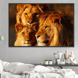 Lion 5d Diy Diamond Painting Kits UK Handwork Hobby DS50869952