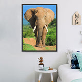 Elephant 5d Diy Diamond Painting Kits UK Handwork Hobby DS967391