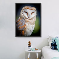 Owl 5d Diy Diamond Painting Kits UK Handwork Hobby IT498832277