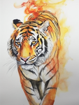 Tiger 5d Diy Diamond Painting Kits UK Handwork Hobby MJ1246