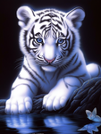 Tiger 5d Diy Diamond Painting Kits UK Handwork Hobby MJ1265