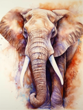 Elephant 5d Diy Diamond Painting Kits UK Handwork Hobby MJ1317