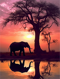 Elephant 5d Diy Diamond Painting Kits UK Handwork Hobby MJ1328