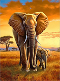 Elephant 5d Diy Diamond Painting Kits UK Handwork Hobby MJ1335