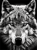 Wolf 5d Diy Diamond Painting Kits UK Handwork Hobby MJ1417