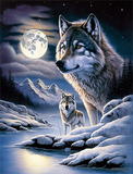Wolf 5d Diy Diamond Painting Kits UK Handwork Hobby MJ1419