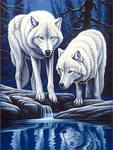 Wolf 5d Diy Diamond Painting Kits UK Handwork Hobby MJ1442