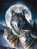 Wolf 5d Diy Diamond Painting Kits UK Handwork Hobby MJ1444