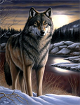Wolf 5d Diy Diamond Painting Kits UK Handwork Hobby MJ1466