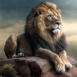 Lion 5d Diy Diamond Painting Kits UK Handwork Hobby MJ9186