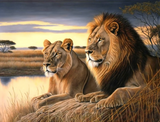 Lion 5d Diy Diamond Painting Kits UK Handwork Hobby MJ9206