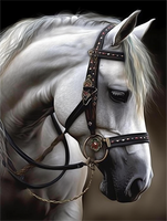 Horse 5d Diy Diamond Painting Kits UK Handwork Hobby MJ9393