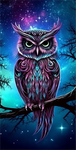 Owl 5d Diy Diamond Painting Kits UK Handwork Hobby MJ9753