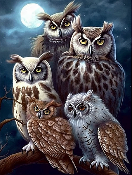Owl 5d Diy Diamond Painting Kits UK Handwork Hobby MJ9762