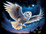 Owl 5d Diy Diamond Painting Kits UK Handwork Hobby MJ9808