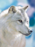 Wolf 5d Diy Diamond Painting Kits UK Handwork Hobby PX1791351