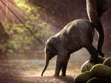 Elephant 5d Diy Diamond Painting Kits UK Handwork Hobby PX2380009