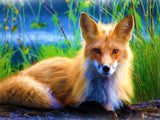 Fox 5d Diy Diamond Painting Kits UK Handwork Hobby PX3416827