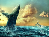 Whale 5d Diy Diamond Painting Kits UK Handwork Hobby PX6095026