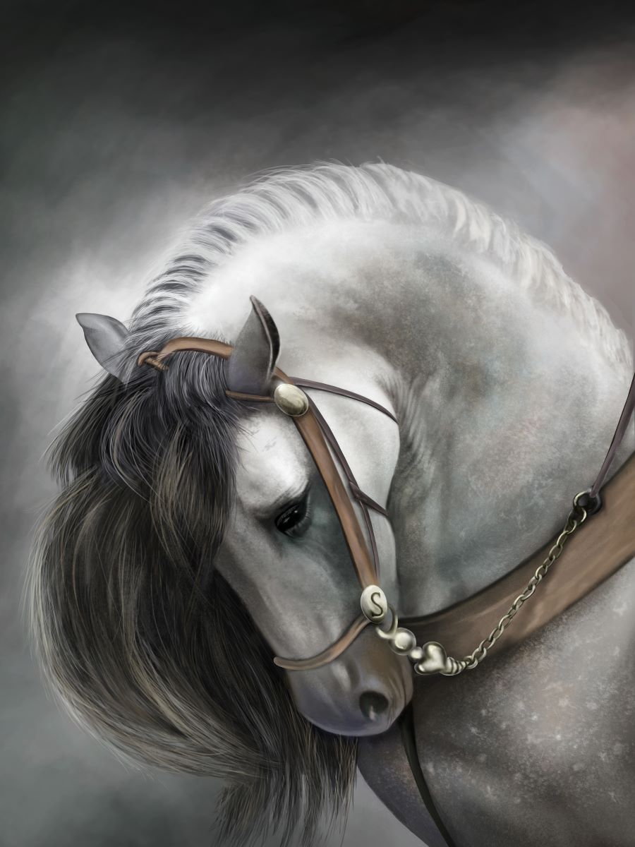 Beautiful White Andalusian Horse - 5D Diamond Painting 
