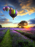 Balloon 5d Diy Diamond Painting Kits UK Handwork Hobby SS85726867