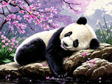 Panda 5d Diy Diamond Painting Kits UK Handwork Hobby FL2416