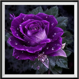 Rose 5d Diy Diamond Painting Kits UK Handwork Hobby FL4085