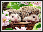 Hedgehog 5d Diy Diamond Painting Kits UK Handwork Hobby FL4485
