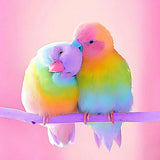 Bird 5d Diy Diamond Painting Kits UK Handwork Hobby ALS39MYE