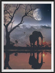 Elephant 5d Diy Diamond Painting Kits UK Handwork Hobby DE487655990